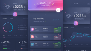 Falcon Fundix trading analytics dashboard with performance insights